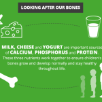 Benefits of dairy products for bone density