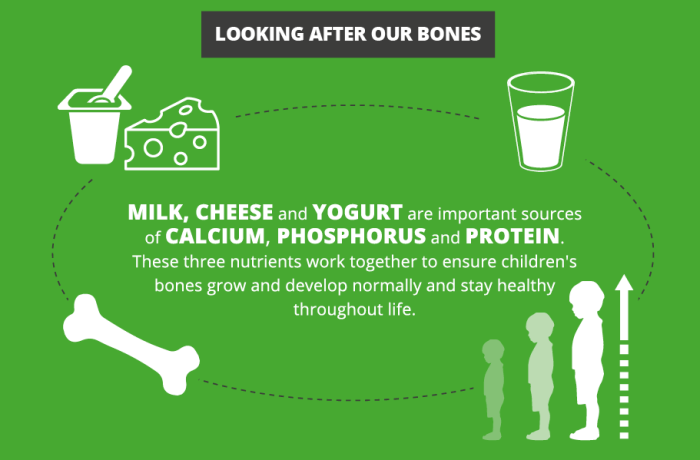 Benefits of dairy products for bone density